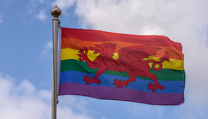 LGBTQ+ Action Plan Wales -Featured Image